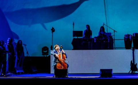 Cello student during “La Nit de Berklee”, the farewell concert representing the culmination of a year of work, learning, and achievements.